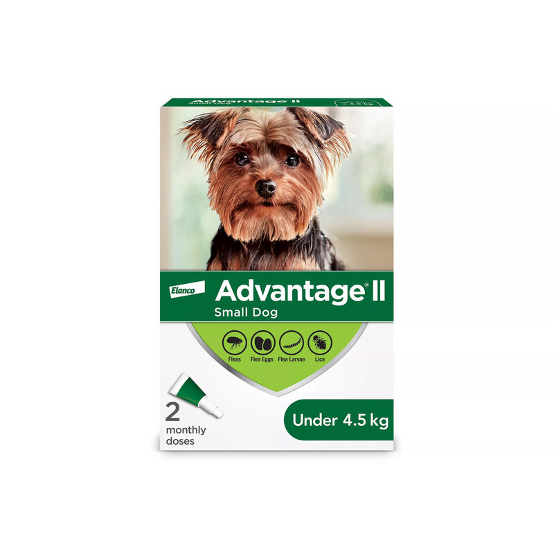 Advantage II, Small Dog Flea Treatment & Protection, <4.5kg image number null