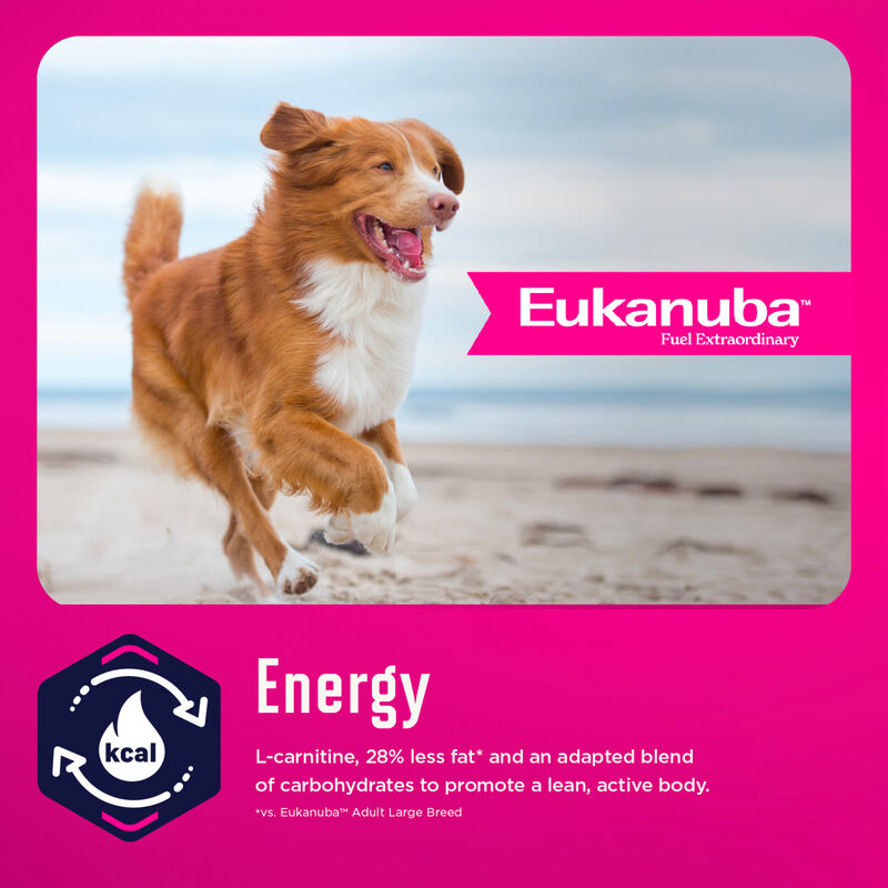 Eukanuba, Weight Management Large Breed - Dog Dry Food image number null