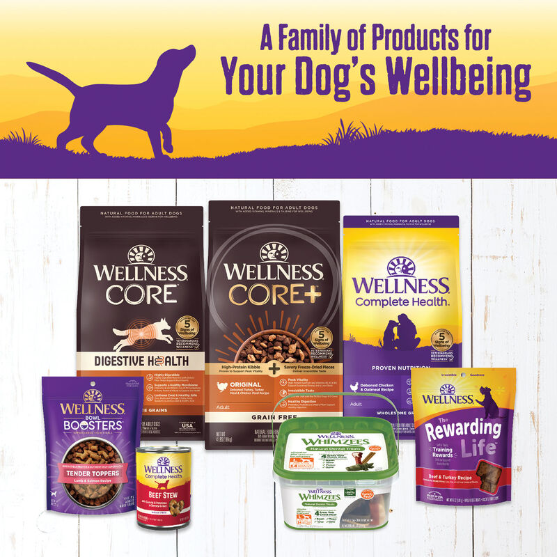 Wellness, Canned Dog Food, Chunks & Gravy, Turkey Stew with Barley & Carrots - 12.5 oz - Wet Dog Foo image number null