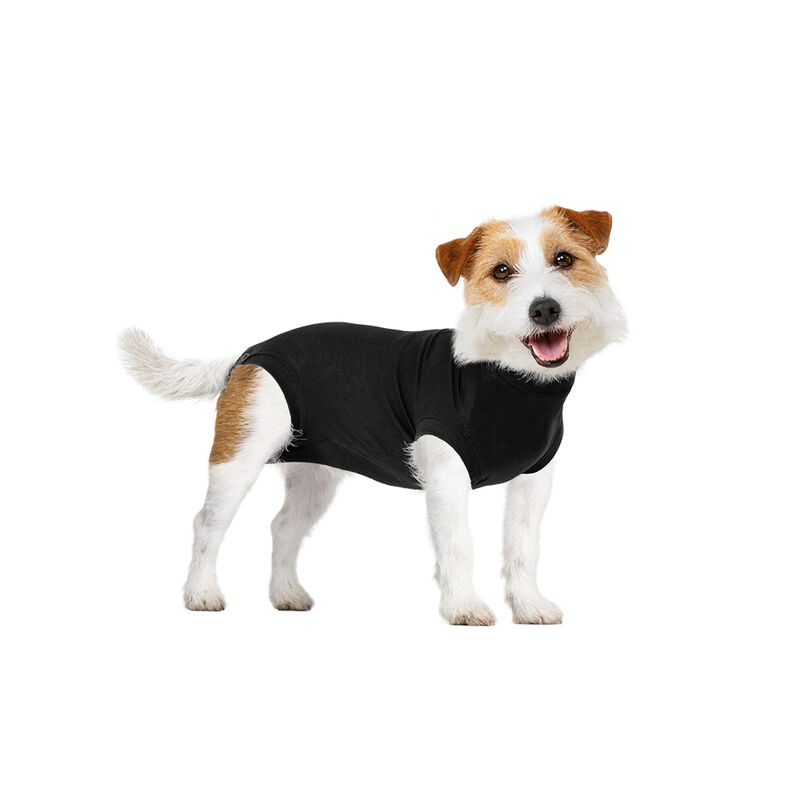 Suitical, Recovery Suit - Dog - Black image number null