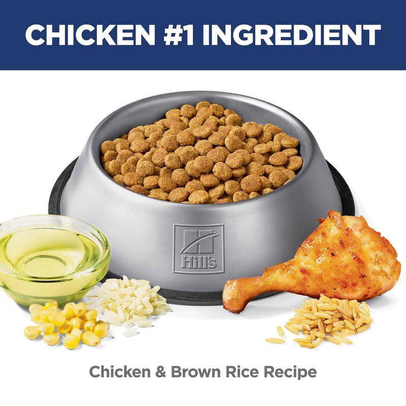 Science Diet, Adult 7+ Perfect Digestion Chicken Barley & Oats Recipe - Dog Dry Food image number null