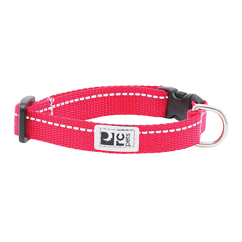 RC Pets, Petite Clip Collar Primary - Azalea image number null