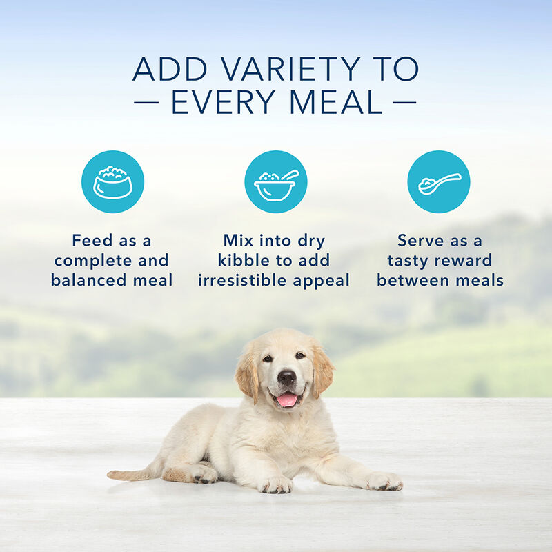Can, Puppy Homestyle Recipe - Chicken - 354 g image number null