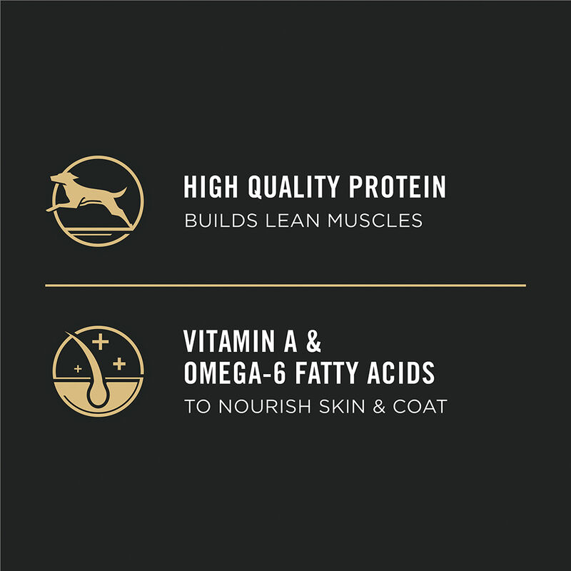 Purina Pro Plan Development Under One Year Puppy, Chicken & Rice Dry Dog Food Formula image number null