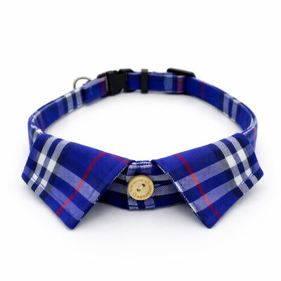 Meow & Woof, Small Dog Shirt Collar