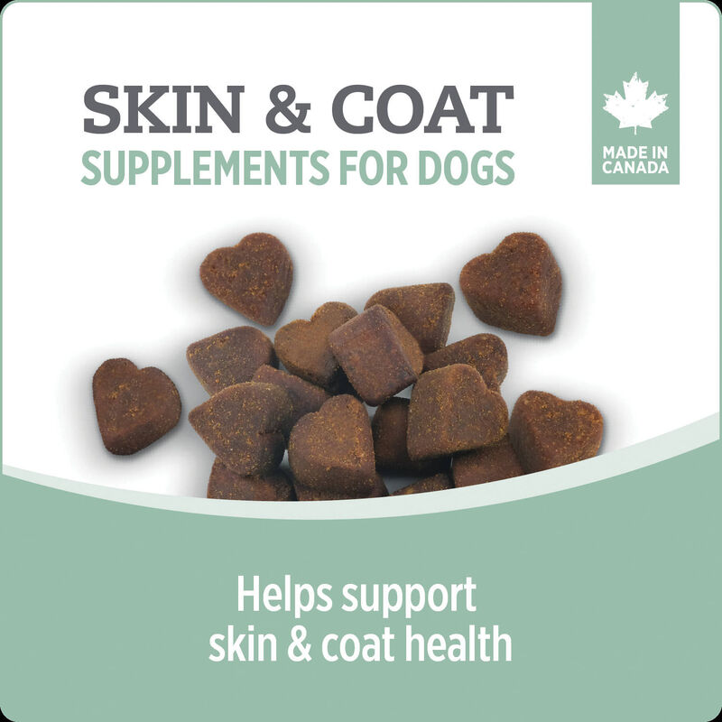 Nutrience, Skin & Coat Dog Supplement image number null