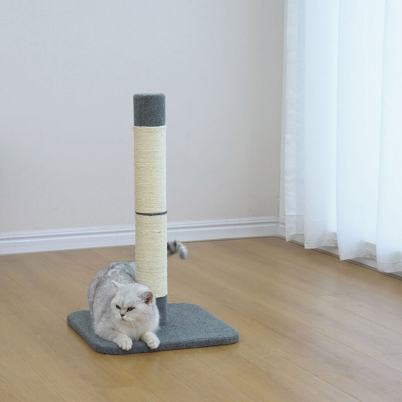 Brigade, Cat Scratching Post image number null
