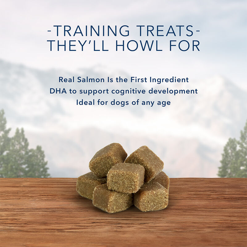 Blue Buffalo, Wilderness Wild Bits - Salmon - 113 g - Dog Treat image number null