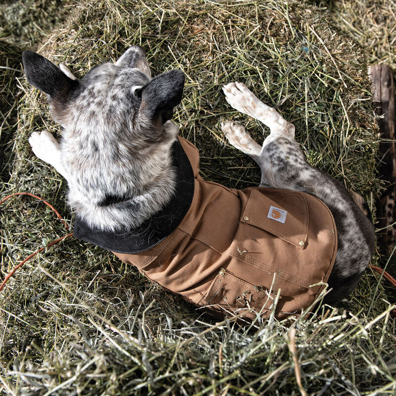 Carhartt Firm Duck Insulated Dog Chore Coat - Light Brown image number null