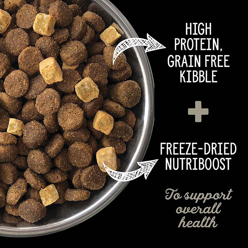 Nutrience, Adult - SubZero Grain Free - Northern Lakes - Dry Dog Food image number null