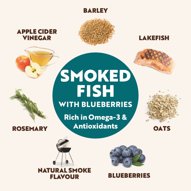 Northern Biscuit, Wheat Free, Smoked Fish & Blueberry - 500 g - Dog Biscuit image number null
