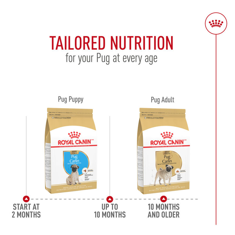 Royal Canin, Breed Health Nutrition Pug Puppy 2.5LBS - Dry Dog Food image number null