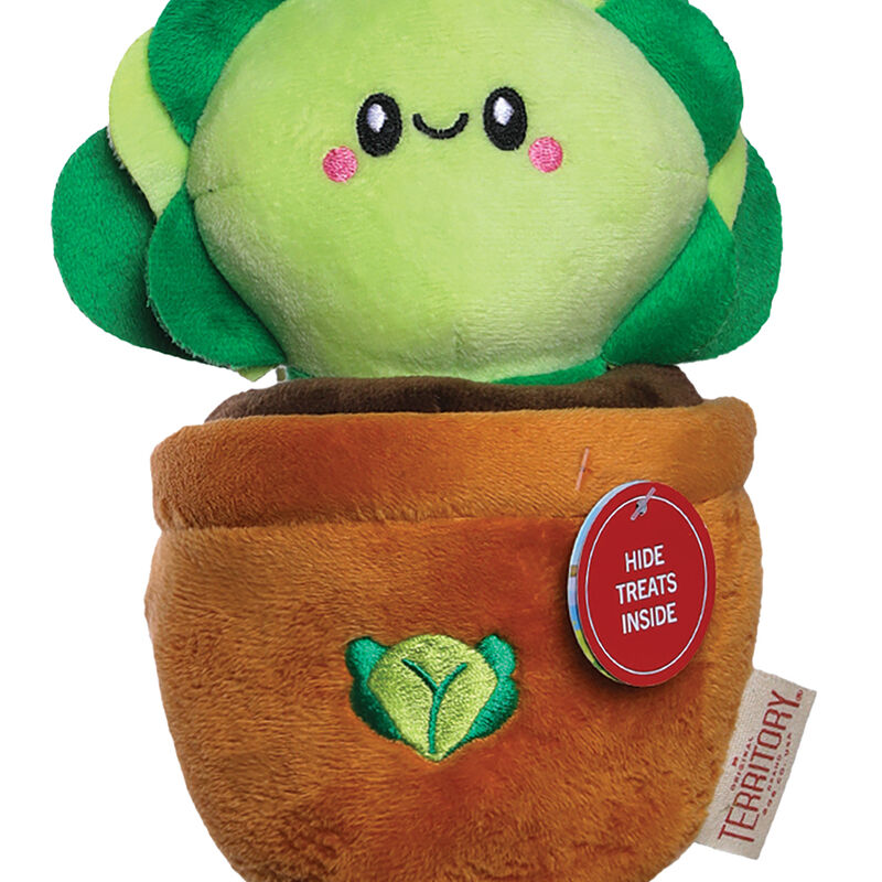 Territory, Lettuce Treat & Tug Toy image number null