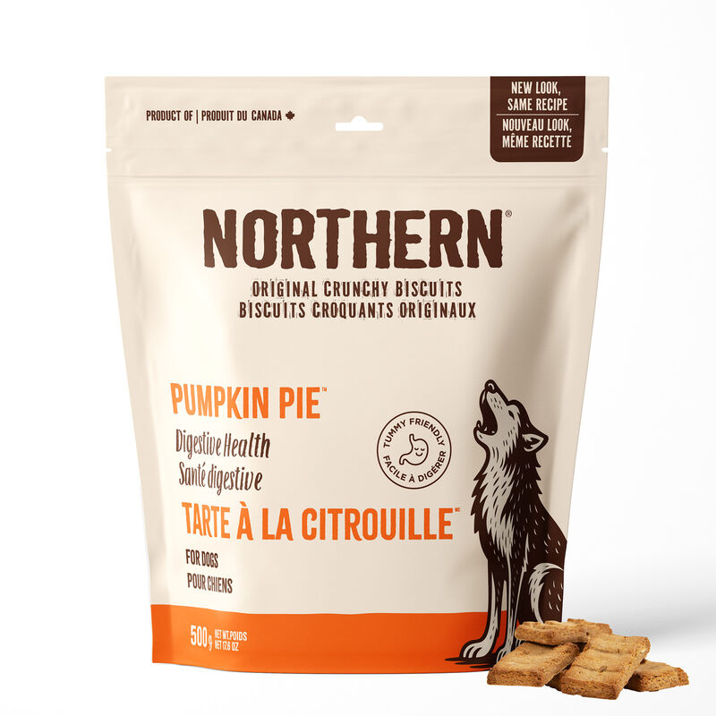 Northern Biscuit, Wheat Free, Pumpkin Pie - 500 g - Dog Biscuit image number null