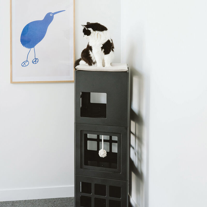 BeOneBreed, KATT KUBE Multi image number null
