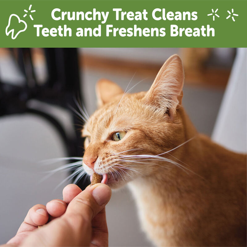 Whimzees, Feline Dental Treats - Chicken - 56.69 g image number null