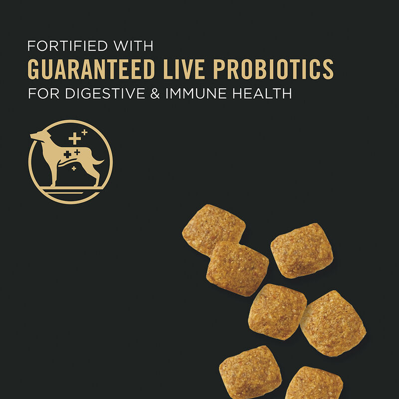 Purina Pro Plan Weight Management Adult, Chicken & Rice Dry Dog Food 8.16kg image number null