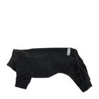 Cloe e Cluzo Dog Bodysuit - Black - XXS image number null