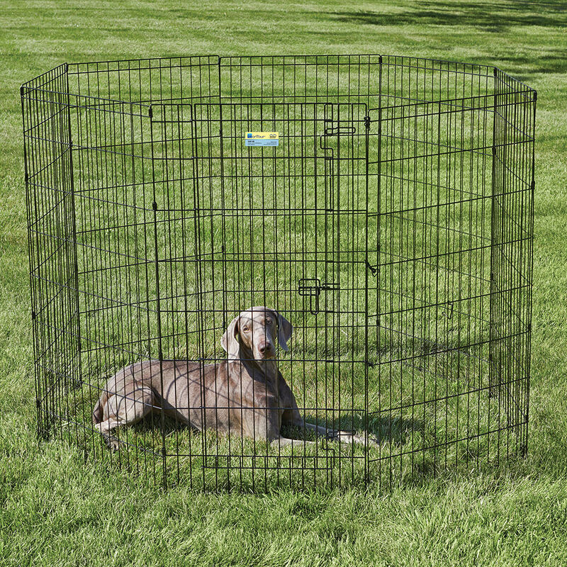 MidWest, Contour - Exercise Pen - Black image number null