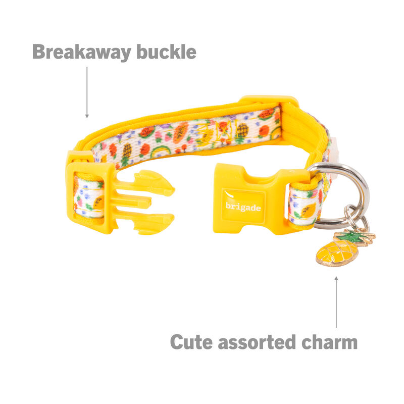 Mini Brigade Mini Neoprene Dog Collar with Charm - Tutti Frutti image number null