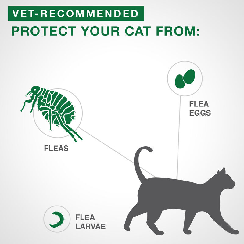 Advantage II, Kitten Flea Treatment & Protection, <2.3kg image number null