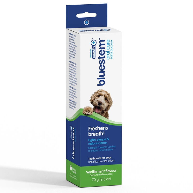 Bluestem, Toothpaste - Vanilla Mint - 70g image number null