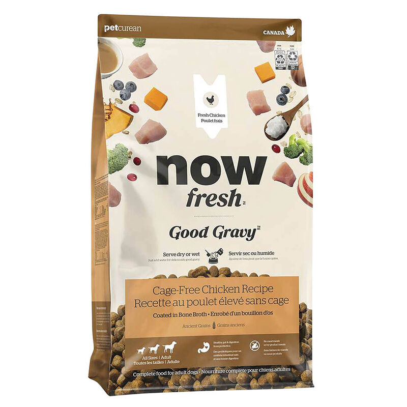 Good Gravy - Cage-Free Chicken Recipe with Ancient Grains - Adult - Dry Dog Food image number null