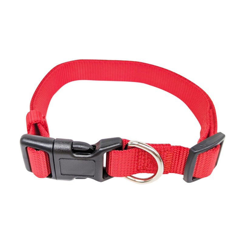 Brigade, Nylon Dog Collar - Red image number null
