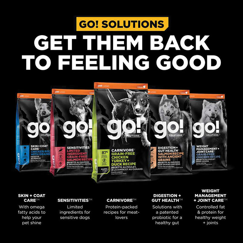 GO! SOLUTIONS, CARNIVORE Grain Free Chicken, Turkey + Duck Puppy recipe for dogs - Dry Dog Food image number null