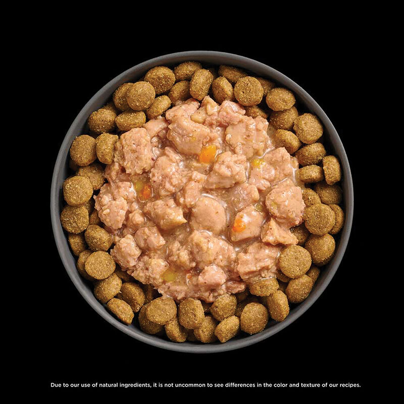 GO! SOLUTIONS,  BOOSTER Tranquility  Minced Chicken with gravy - 78 g - Wet Dog Food image number null