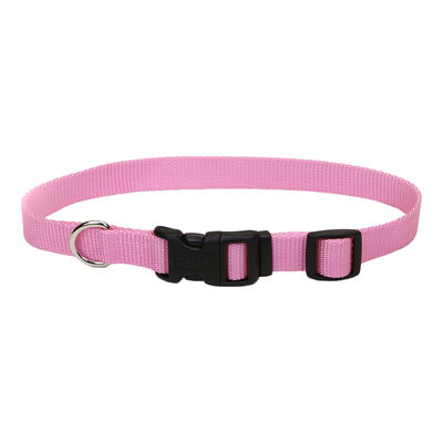 Adjustable Dog Collar with Plastic Buckle, Pink Bright, Small - 5/8" x 10"-14"