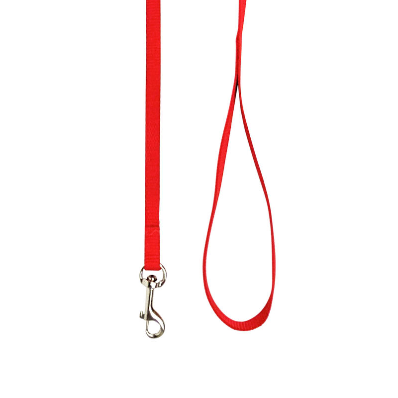 Brigade, Nylon Dog Leash - Red image number null