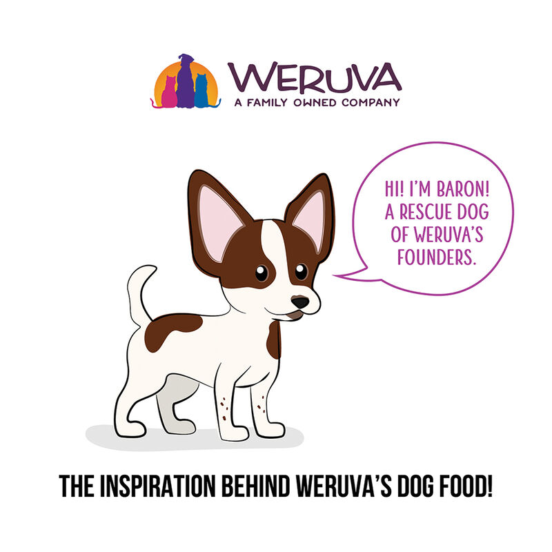 Weruva, Pouch, Adult - Luv Me Tender - 80 g - Minced - Wet Dog Food image number null