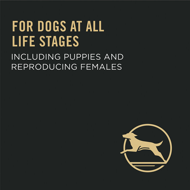 Pro Plan, Adult Sport All Life Stages 30/20 - Chicken - 8.16 kg - Dry Dog Food image number null