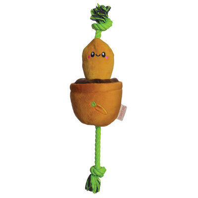 Territory, Carrot Treat & Tug Toy
