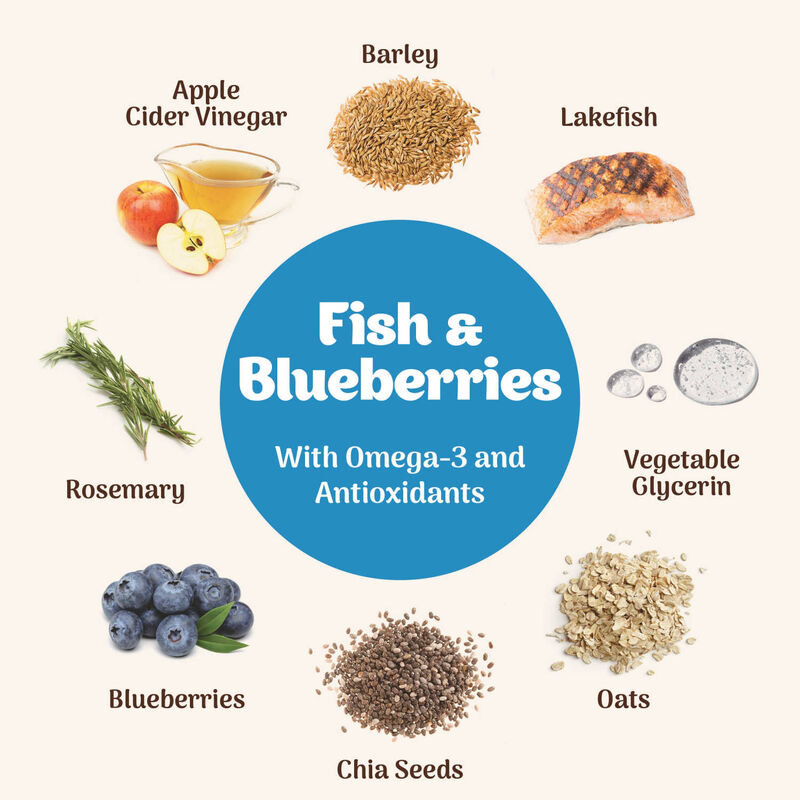 Northern Biscuit, Softies Fish & Blueberries - 170 g - Dog Treat image number null
