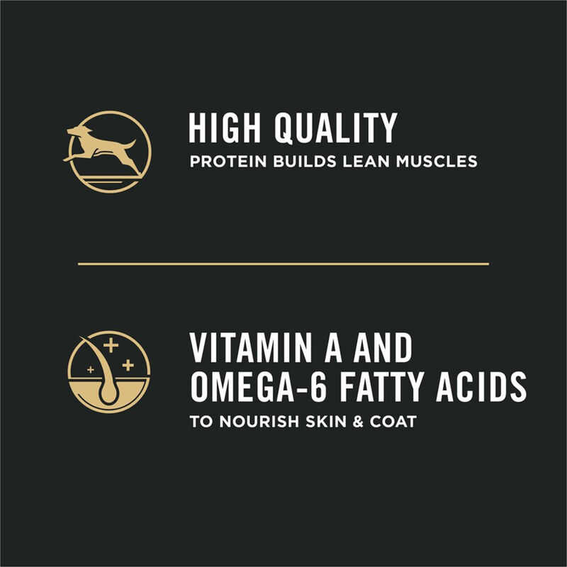 Purina Pro Plan Development Under One Year Puppy, Shredded Blend, Chicken & Rice Dry Dog Food Formul image number null