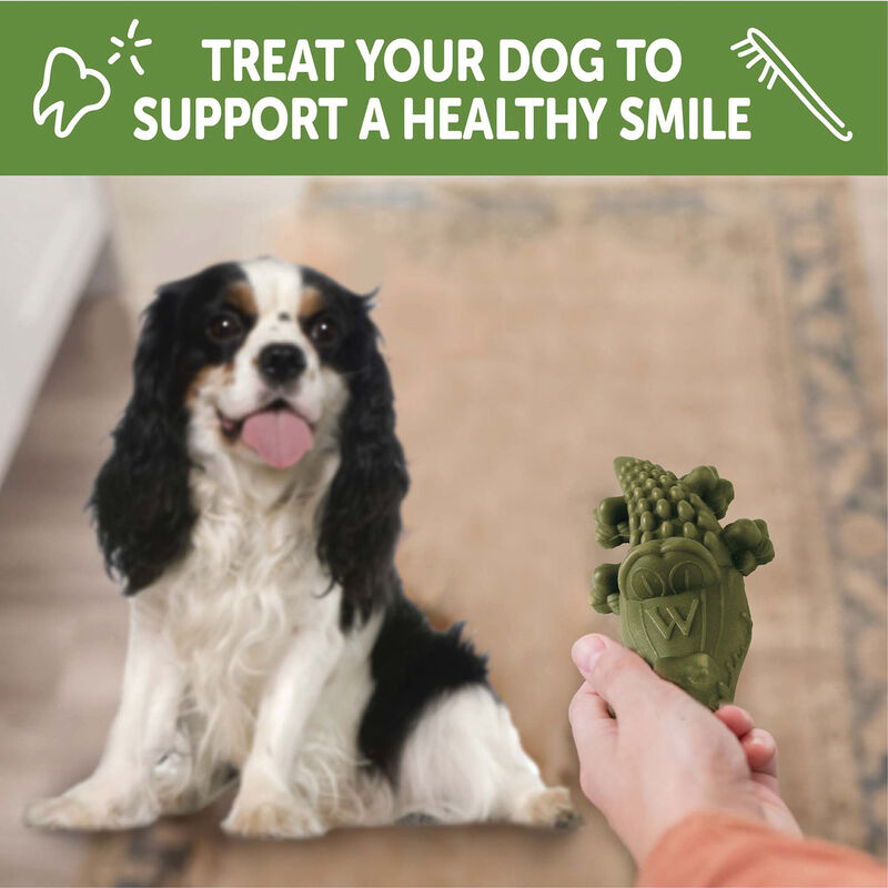 Whimzees, Dental Treat, Alligator Value Pouch - Small- 24 Pc image number null