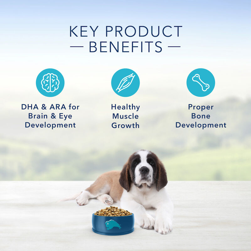 Blue Buffalo, Puppy - LP - LB - Chicken - 6.8 kg - Dry Dog Food image number null