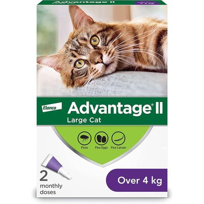 Advantage II, Large Cat Flea Treatment & Protection, 4kg+