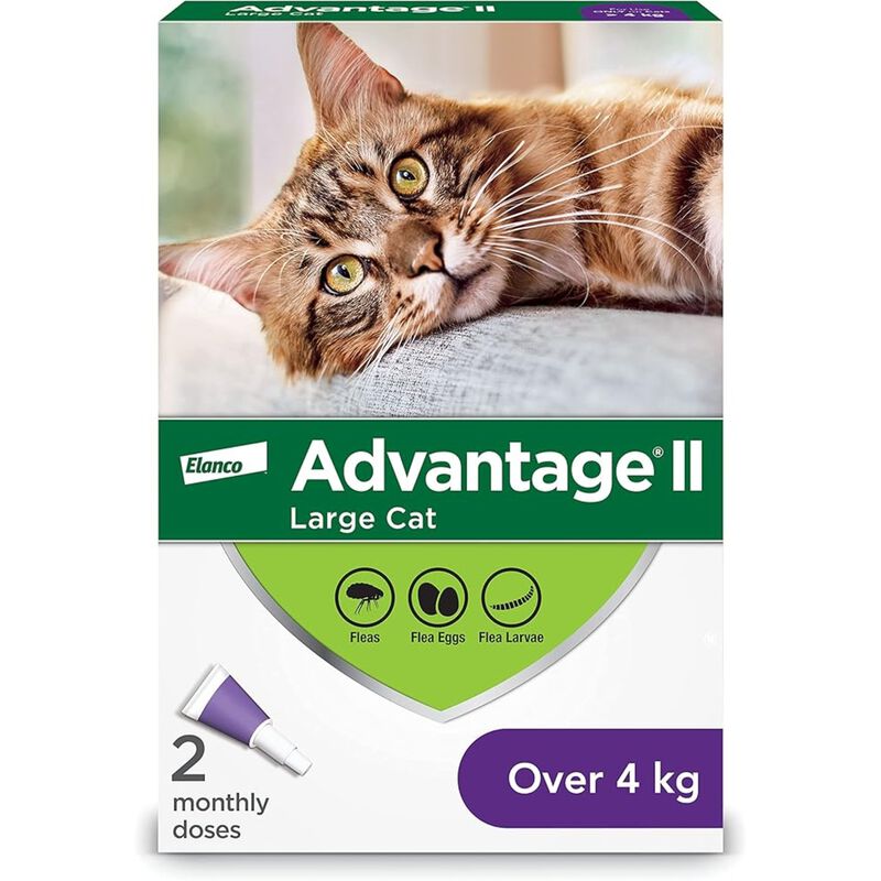 Advantage II, Large Cat Flea Treatment & Protection, 4kg+ image number null