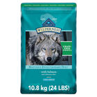 Adult - GF Wilderness - LB - Salmon - 10.8 kg image number null