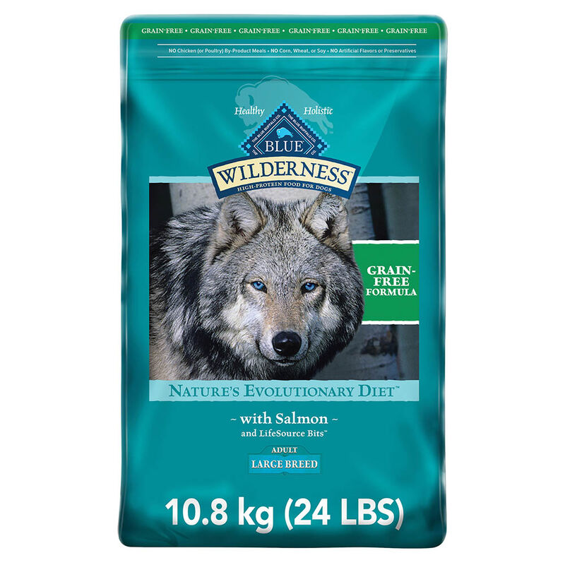 Adult - GF Wilderness - LB - Salmon - 10.8 kg image number null