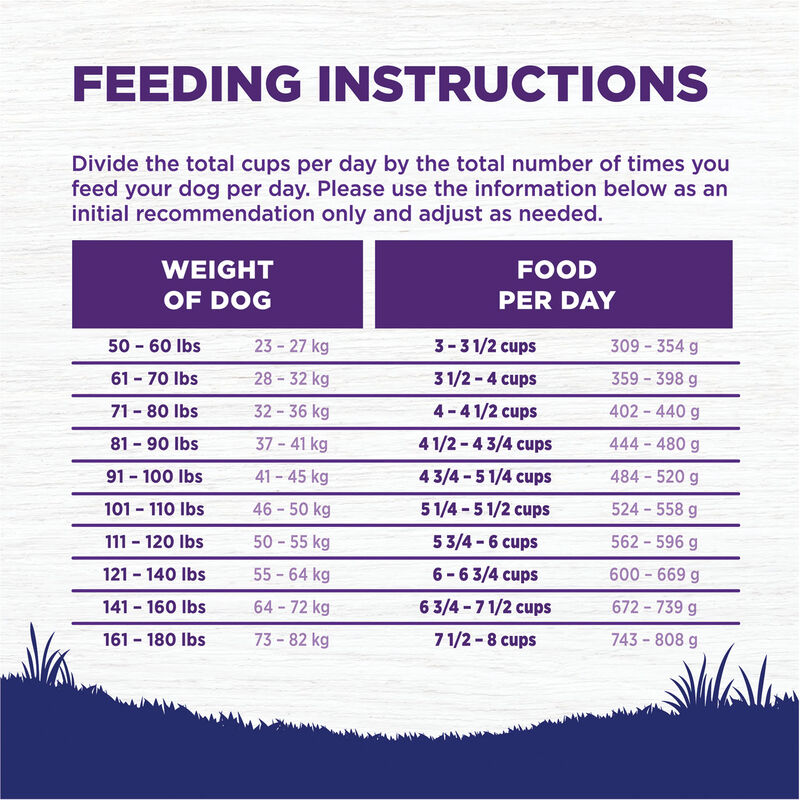 Wellness, Large Breed Complete Health, Deboned Chicken, Brown Rice - Dry Dog Food image number null