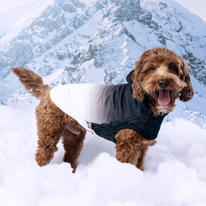 GF Pet, Good Vibes Hoodie - Charcoal image number null