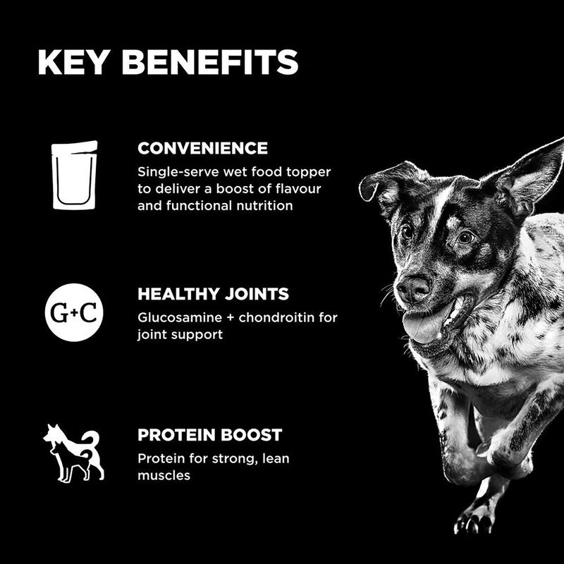 GO! SOLUTIONS,  BOOSTER Joint Care Minced Chicken with gravy - 78 g - Wet Dog Food image number null
