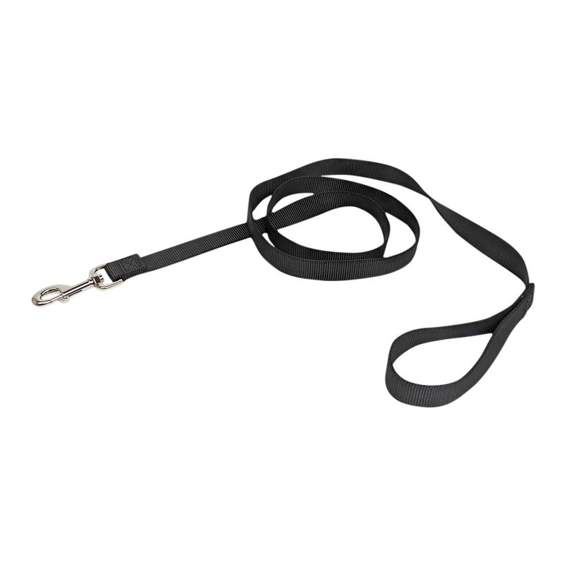 Brigade, Nylon Dog Leash - Black image number null