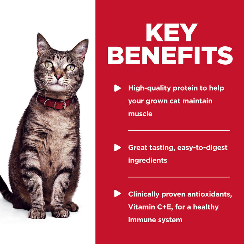 Science Diet, Adult Tender Tuna Dinner Wet Cat Food - 80 g - Wet Cat Food image number null