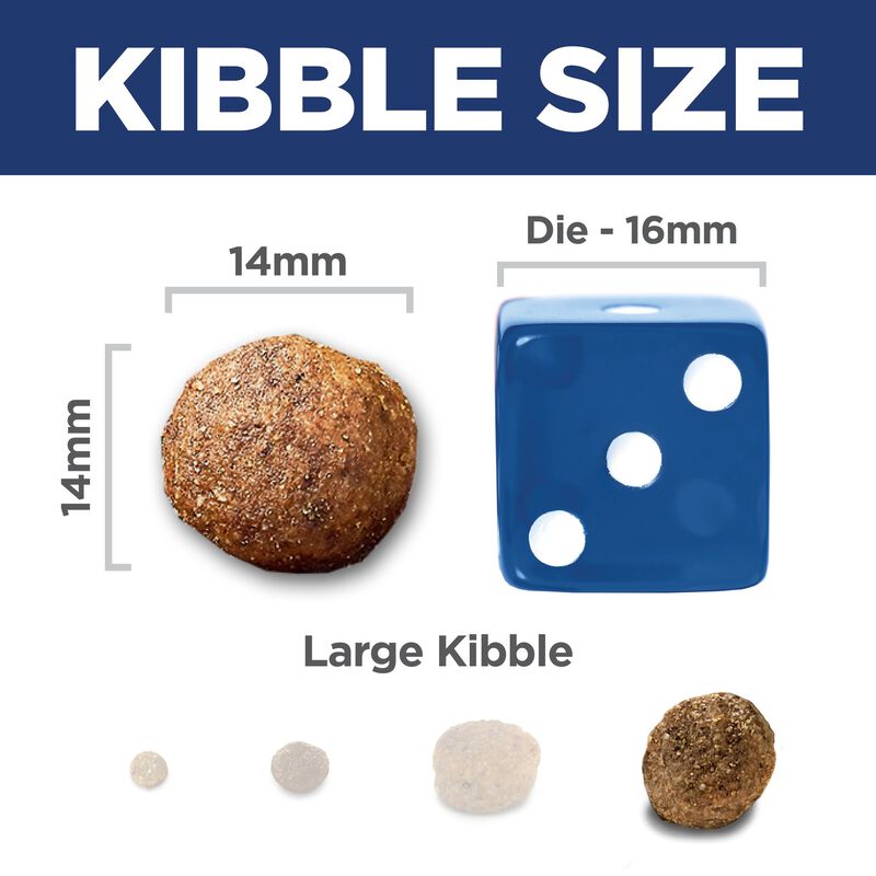 Science Diet, Adult Healthy Mobility Large Breed - Chicken Meal, Rice & Barley Recipe - Dry Dog Food image number null