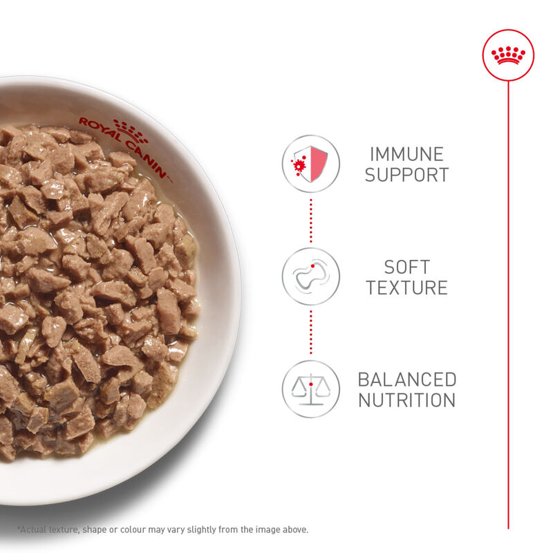 Royal Canin, Can Feline Kitten Instinctive Slices in Gravy-85 g - Wet Cat Food image number null